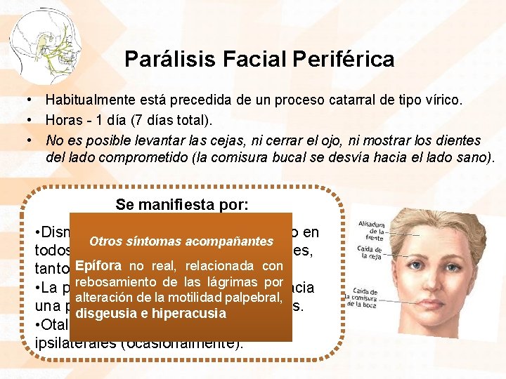 Parálisis Facial Periférica • Habitualmente está precedida de un proceso catarral de tipo vírico.