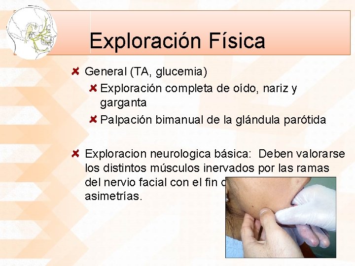 Exploración Física General (TA, glucemia) Exploración completa de oído, nariz y garganta Palpación bimanual