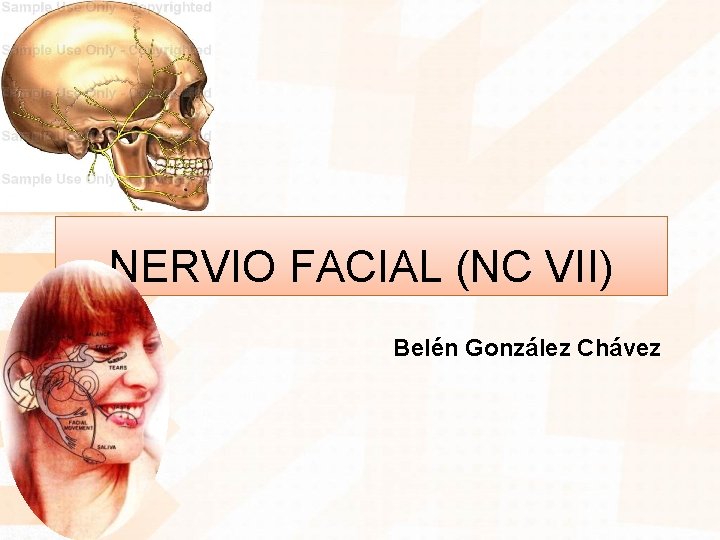 NERVIO FACIAL (NC VII) Belén González Chávez 