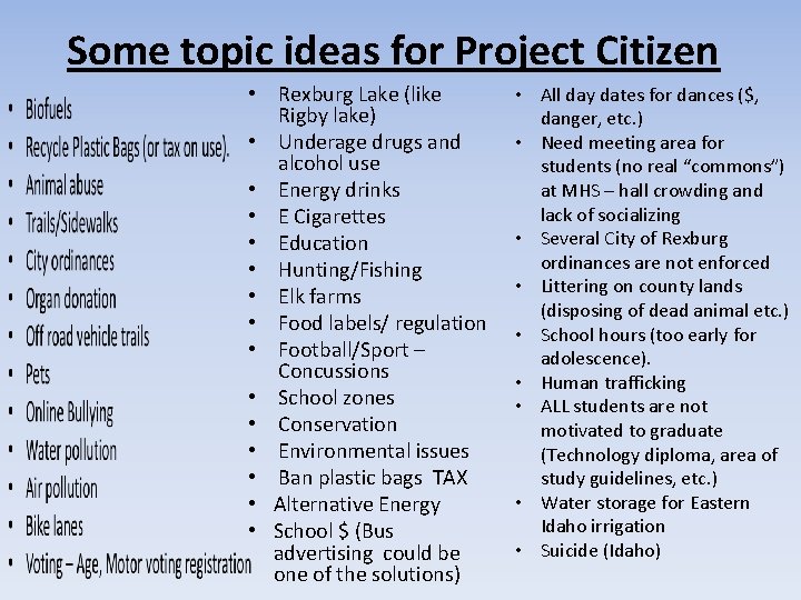 Some topic ideas for Project Citizen • Rexburg Lake (like Rigby lake) • Underage