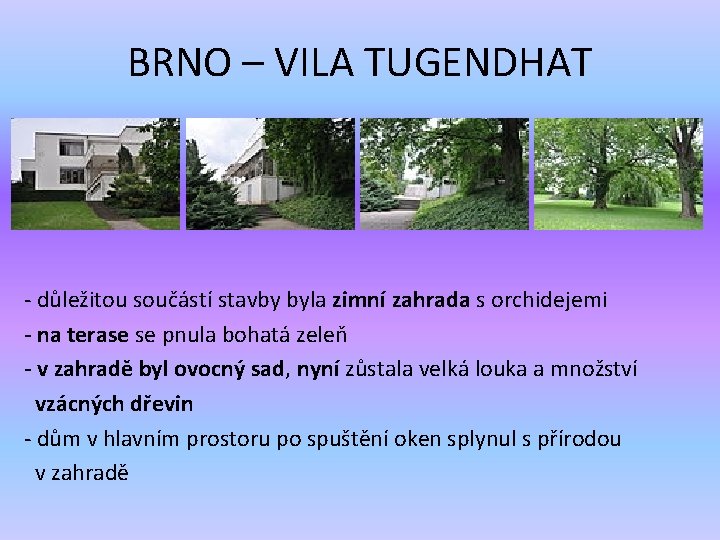 BRNO – VILA TUGENDHAT - důležitou součástí stavby byla zimní zahrada s orchidejemi -