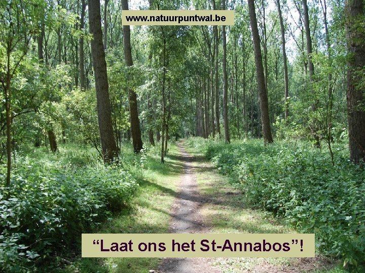 www. natuurpuntwal. be “Laat ons het St-Annabos”! 