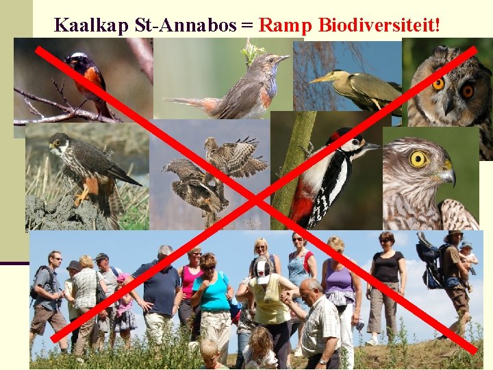 Kaalkap St-Annabos = Ramp Biodiversiteit! 