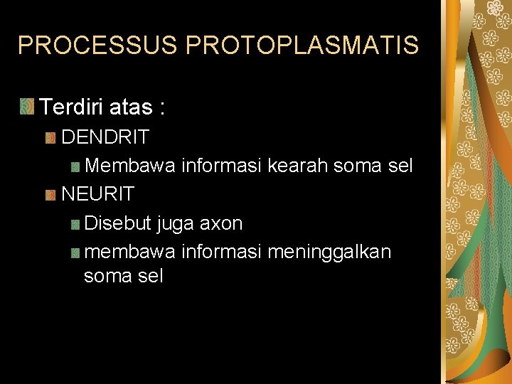 PROCESSUS PROTOPLASMATIS Terdiri atas : DENDRIT Membawa informasi kearah soma sel NEURIT Disebut juga