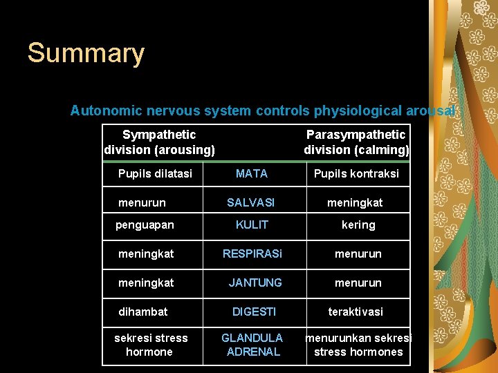 Summary Autonomic nervous system controls physiological arousal Sympathetic division (arousing) Pupils dilatasi Parasympathetic division
