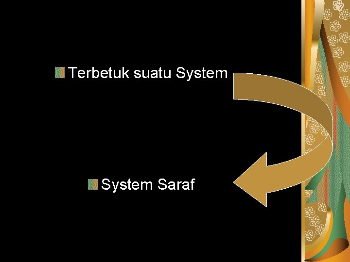 Terbetuk suatu System Saraf 