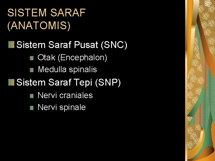 SISTEM SARAF (ANATOMIS) Sistem Saraf Pusat (SNC) Otak (Encephalon) Medulla spinalis Sistem Saraf Tepi