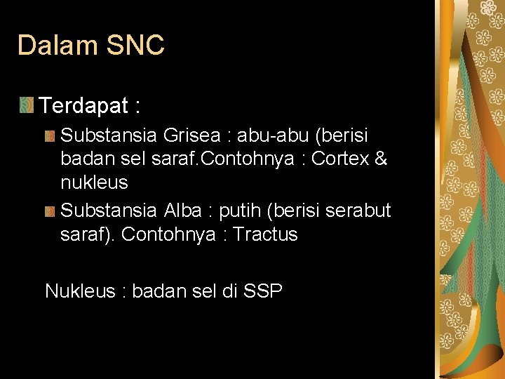 Dalam SNC Terdapat : Substansia Grisea : abu-abu (berisi badan sel saraf. Contohnya :