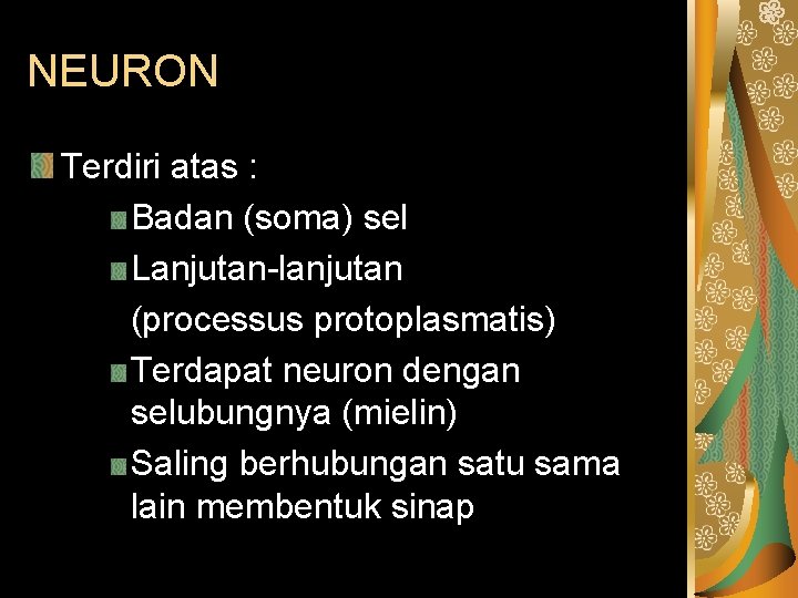 NEURON Terdiri atas : Badan (soma) sel Lanjutan-lanjutan (processus protoplasmatis) Terdapat neuron dengan selubungnya