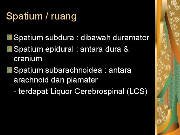 Spatium / ruang Spatium subdura : dibawah duramater Spatium epidural : antara dura &