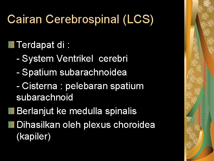 Cairan Cerebrospinal (LCS) Terdapat di : - System Ventrikel cerebri - Spatium subarachnoidea -