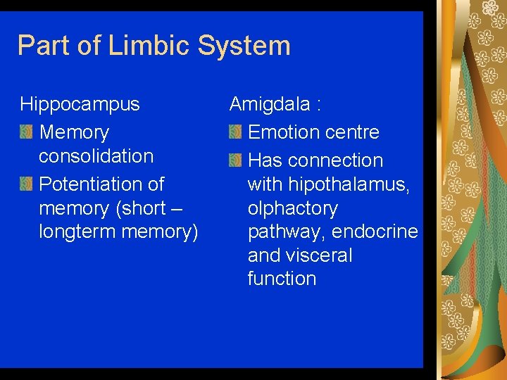 Part of Limbic System Hippocampus Memory consolidation Potentiation of memory (short – longterm memory)