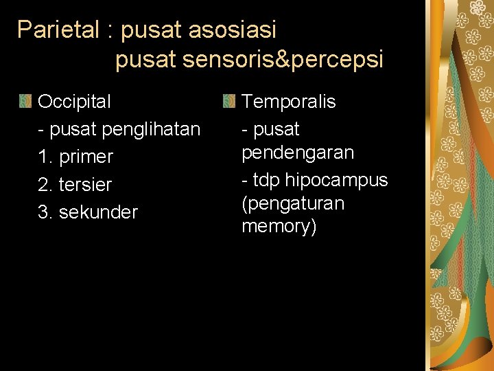 Parietal : pusat asosiasi pusat sensoris&percepsi Occipital - pusat penglihatan 1. primer 2. tersier