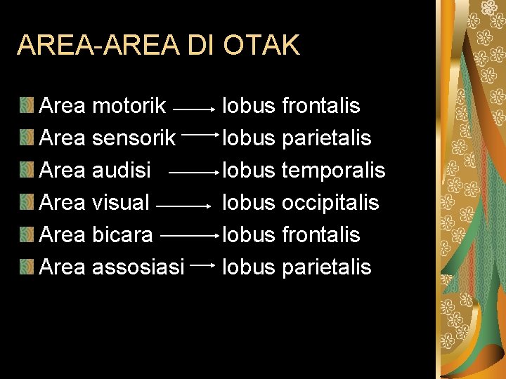 AREA-AREA DI OTAK Area motorik Area sensorik Area audisi Area visual Area bicara Area