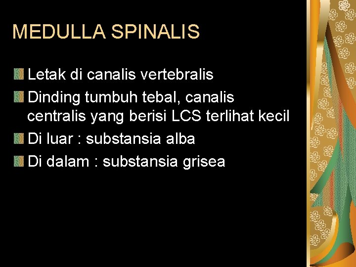 MEDULLA SPINALIS Letak di canalis vertebralis Dinding tumbuh tebal, canalis centralis yang berisi LCS