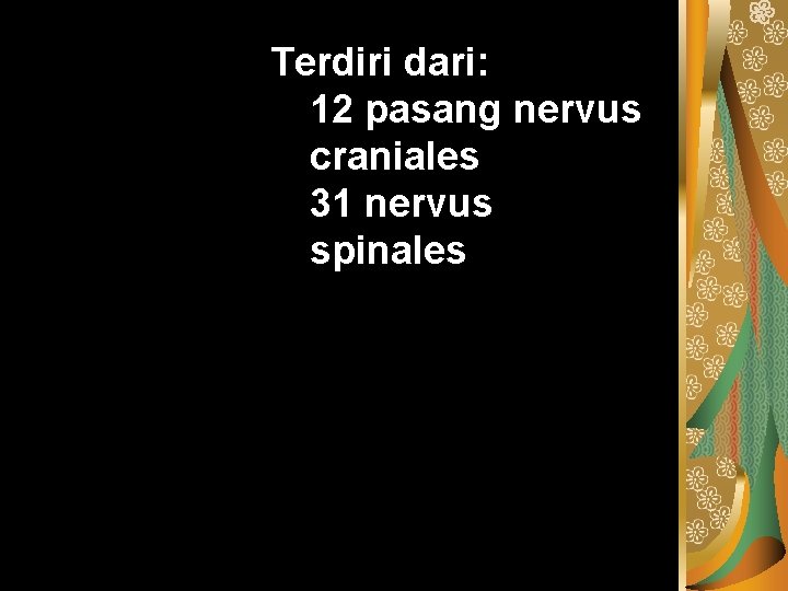 Terdiri dari: 12 pasang nervus craniales 31 nervus spinales 