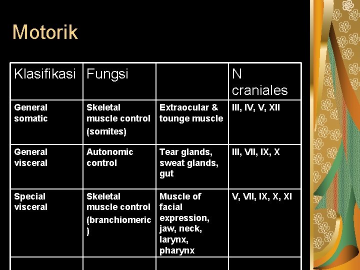 Motorik Klasifikasi Fungsi N craniales General somatic Skeletal Extraocular & muscle control tounge muscle