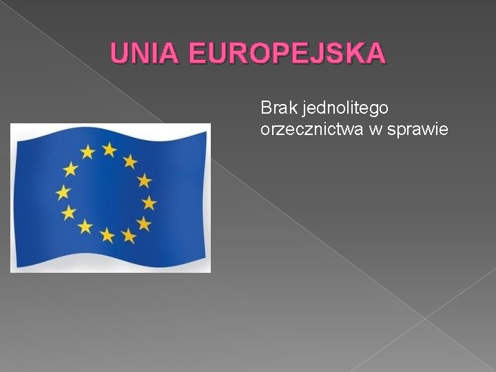 UNIA EUROPEJSKA Brak jednolitego orzecznictwa w sprawie 