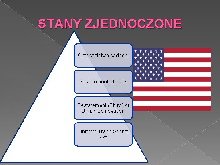 STANY ZJEDNOCZONE Orzecznictwo sądowe Restatement of Torts Restatement (Third) of Unfair Competition Uniform Trade