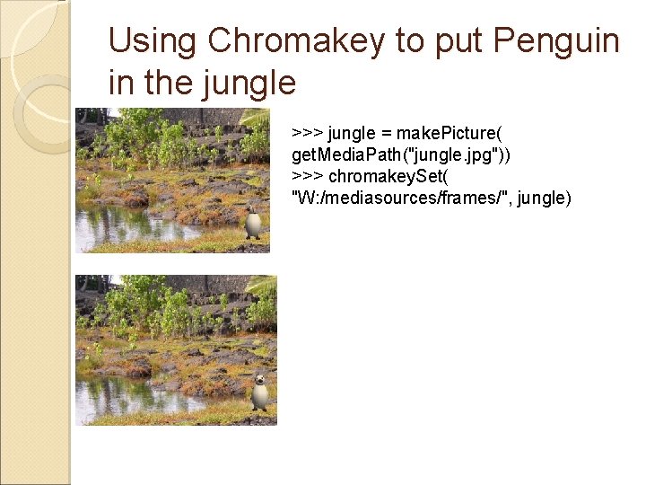 Using Chromakey to put Penguin in the jungle >>> jungle = make. Picture( get.