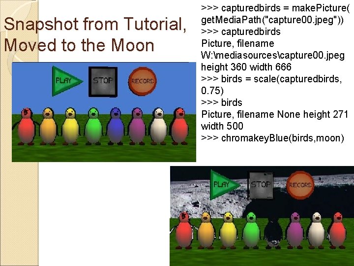 Snapshot from Tutorial, Moved to the Moon >>> capturedbirds = make. Picture( get. Media.