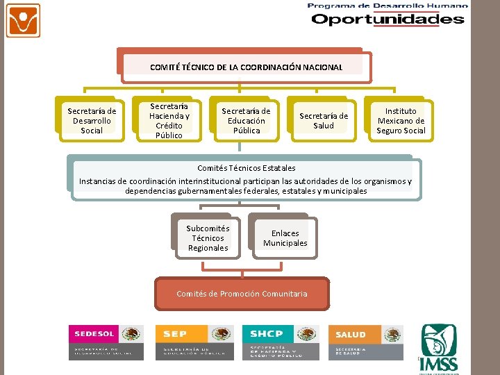 COMITÉ TÉCNICO DE LA COORDINACIÓN NACIONAL Secretaría de Desarrollo Social Secretaría Hacienda y Crédito