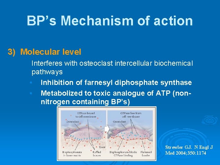 BP’s Mechanism of action 3) Molecular level Interferes with osteoclast intercellular biochemical pathways •