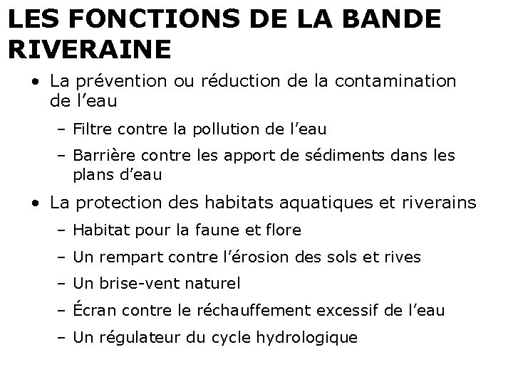 LES FONCTIONS DE LA BANDE RIVERAINE • La prévention ou réduction de la contamination