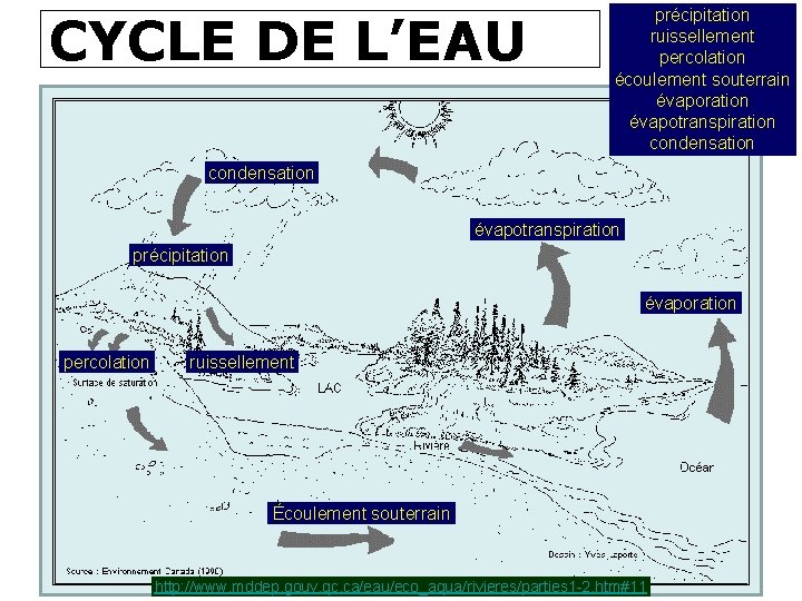 CYCLE DE L’EAU précipitation ruissellement percolation écoulement souterrain évaporation évapotranspiration condensation évapotranspiration précipitation évaporation