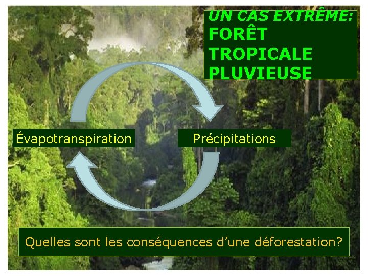 UN CAS EXTRÊME: FORÊT TROPICALE PLUVIEUSE Évapotranspiration Précipitations Quelles sont les conséquences d’une déforestation?