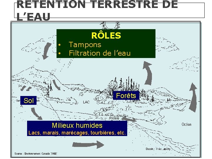 RÉTENTION TERRESTRE DE L’EAU RÔLES condensation • Tampons • Filtration de l’eau évapotranspiration précipitation