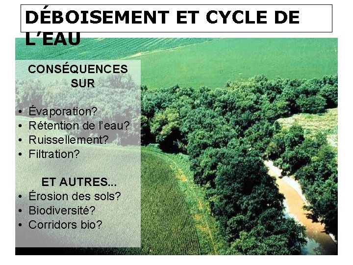 DÉBOISEMENT ET CYCLE DE L’EAU CONSÉQUENCES SUR • • Évaporation? Rétention de l’eau? Ruissellement?