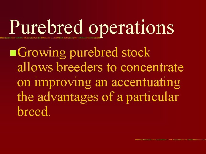 Purebred operations n Growing purebred stock allows breeders to concentrate on improving an accentuating