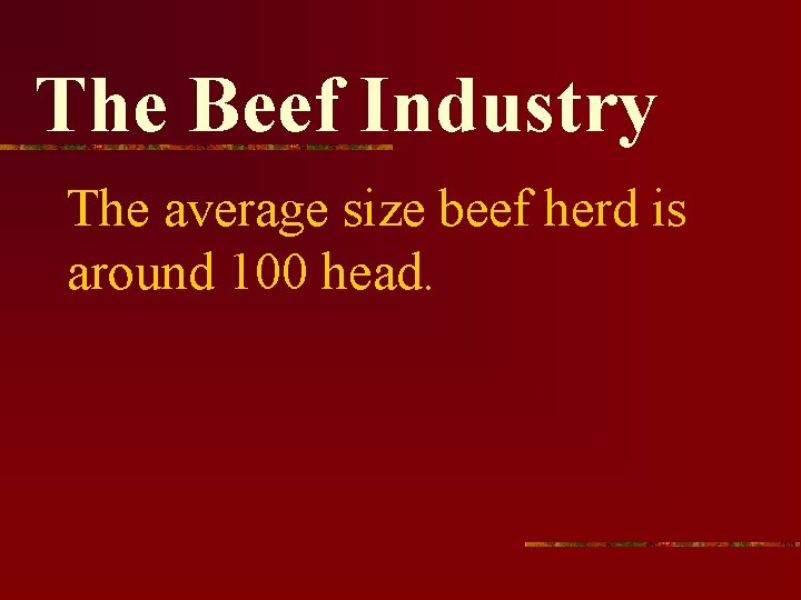 The Beef Industry The average size beef herd is around 100 head. 
