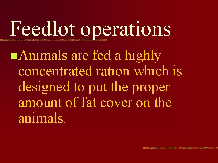 Feedlot operations n Animals are fed a highly concentrated ration which is designed to