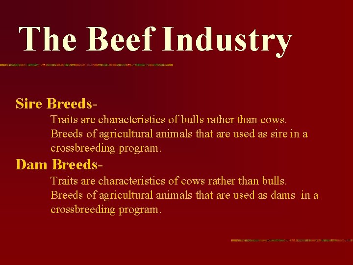 The Beef Industry Sire Breeds. Traits are characteristics of bulls rather than cows. Breeds