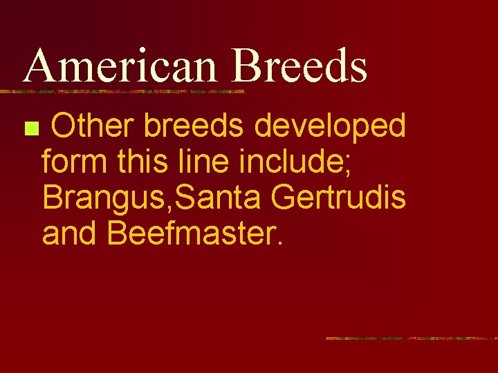 American Breeds n Other breeds developed form this line include; Brangus, Santa Gertrudis and