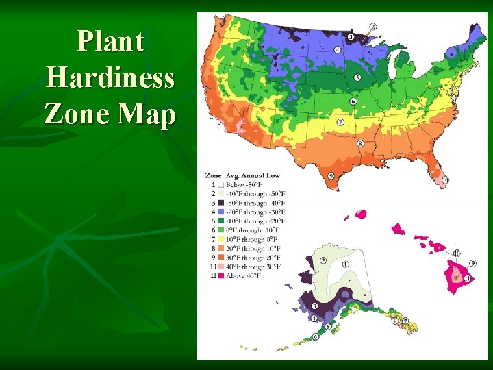 Plant Hardiness Zone Map 
