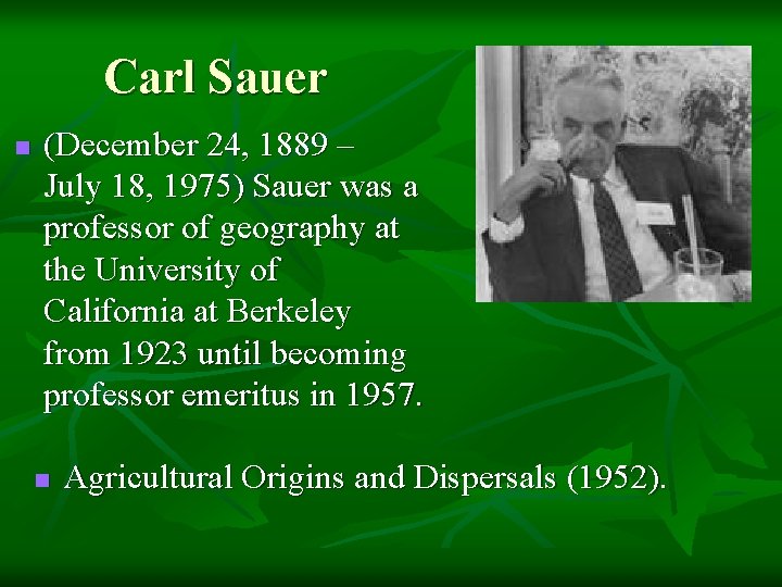 Carl Sauer n (December 24, 1889 – July 18, 1975) Sauer was a professor