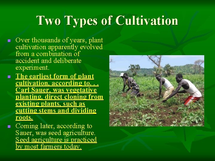 Two Types of Cultivation n Over thousands of years, plant cultivation apparently evolved from