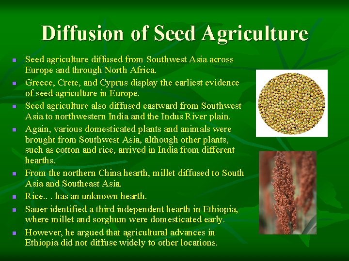 Diffusion of Seed Agriculture n n n n Seed agriculture diffused from Southwest Asia