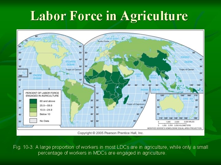 Labor Force in Agriculture Fig. 10 -3: A large proportion of workers in most