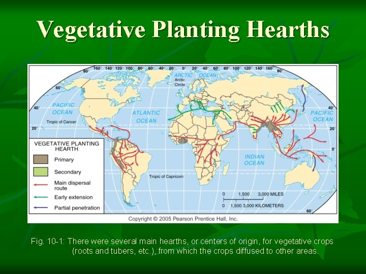 Vegetative Planting Hearths Fig. 10 -1: There were several main hearths, or centers of