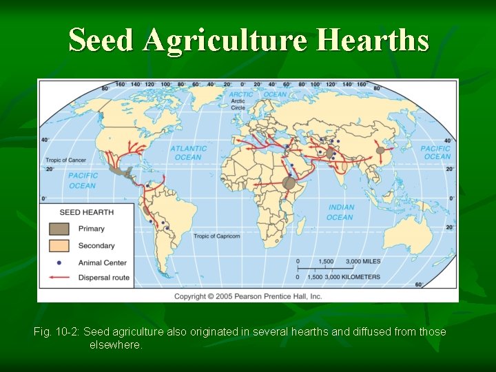 Seed Agriculture Hearths Fig. 10 -2: Seed agriculture also originated in several hearths and