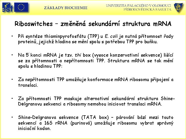 Riboswitches – změněná sekundární struktura m. RNA • Při syntéze thiaminpyrofosfátu (TPP) u E.
