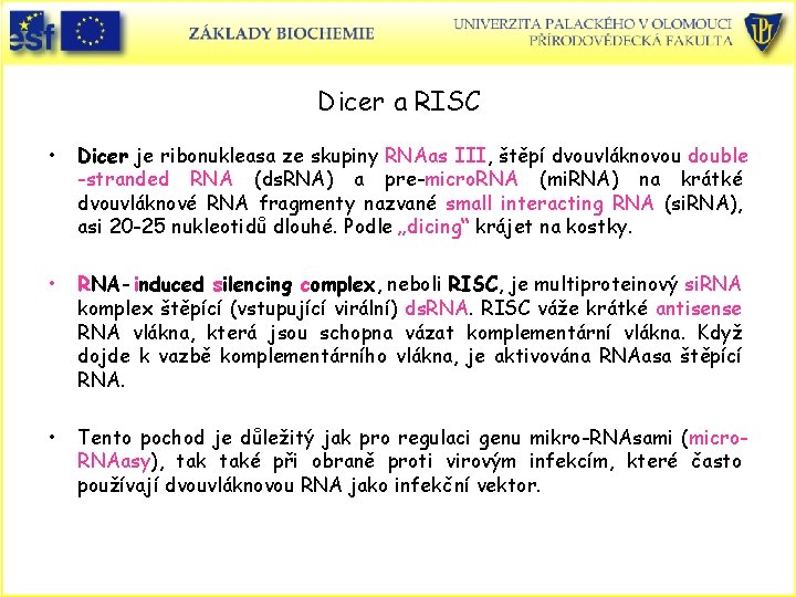 Dicer a RISC • Dicer je ribonukleasa ze skupiny RNAas III, štěpí dvouvláknovou double