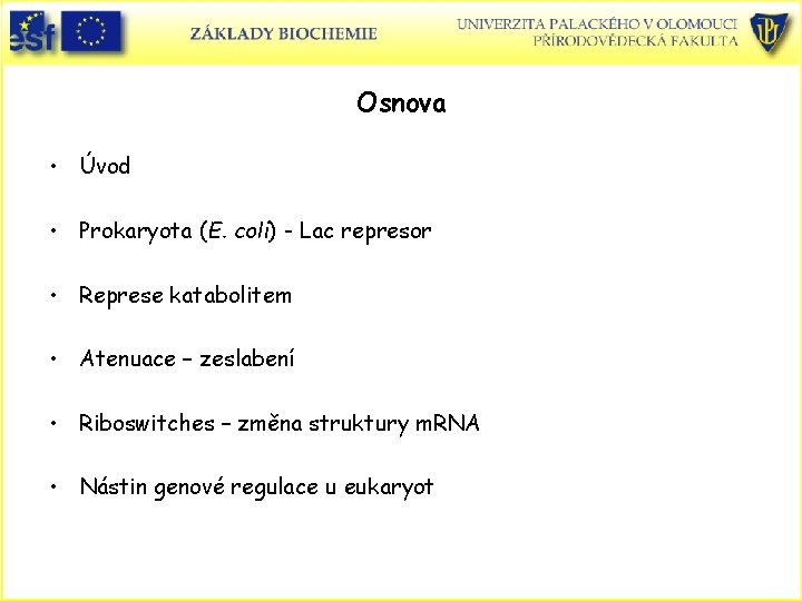 Osnova • Úvod • Prokaryota (E. coli) - Lac represor • Represe katabolitem •