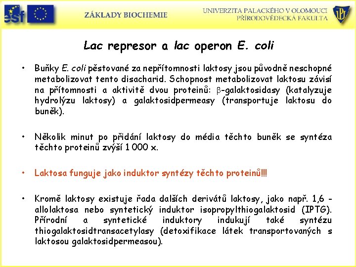 Lac represor a lac operon E. coli • Buňky E. coli pěstované za nepřítomnosti