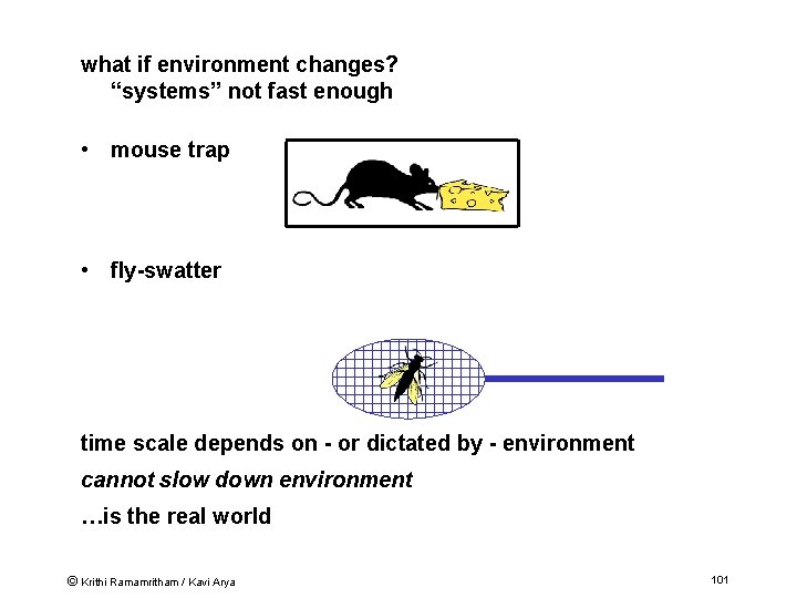 what if environment changes? “systems” not fast enough • mouse trap • fly-swatter time