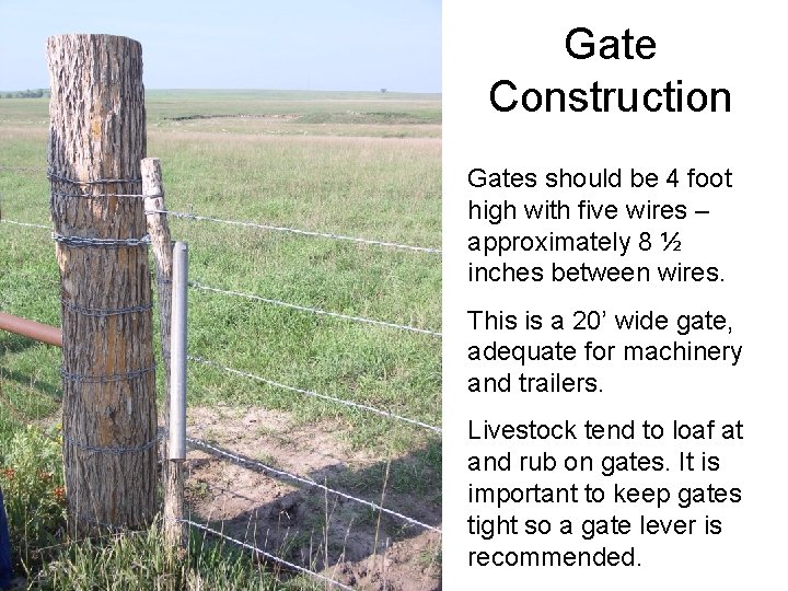 Gate Construction Gates should be 4 foot high with five wires – approximately 8